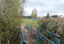 В Борисове утонул человек