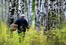 В Борисовском районе спасатели нашли заблудившихся в лесу мужчин