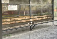 ФОТО ДНЯ: прилег отдохнуть