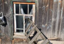 На Борисовщине четверо парней ночью ворвались в дом к пенсионерам и устроили погром