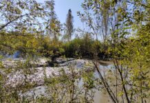 Новая подборка армейских новостей полна интересными событиями