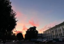 ФОТО ДНЯ: розовая вата