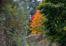 ФОТО ДНЯ: краски