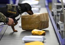 Сотрудники таможни в одной из посылок нашли стрелковое огнестрельное оружие