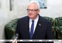 Карпенко рассказал, какие даты рассматривались для проведения выборов Президента Беларуси