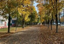 Какой видит осень юнкор редакции Алина Залеская