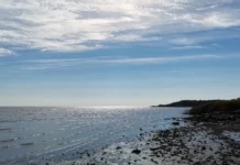 Необычные черные шары появились на пляже в Австралии