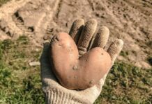 ФОТО ДНЯ: любовь повсюду