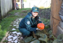 Борисовская молодежь не остается в стороне от добрых дел