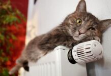 Кот лежит на батарее