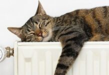 В Минской области начнется отопительный сезон