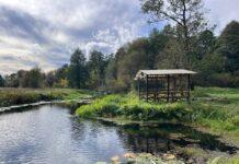 ФОТО ДНЯ: отдых для души