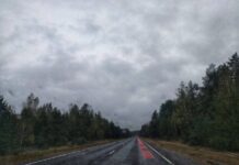 Необычный эксперимент. На Гомельщине появилась первая в Беларуси музыкальная дорога