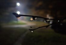 Осень дышит туманами: забудьте о суете и насладитесь волшебством природы!