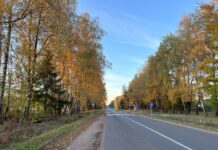 ФОТО ДНЯ: осенняя дорога