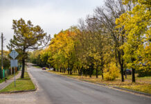 ФОТО ДНЯ: осень на улицах города