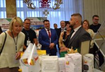 Делегация из России с бизнес-миссией пребывает в Борисове. Что интересует предпринимателей?