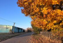 ФОТО ДНЯ: листья желтые кружатся