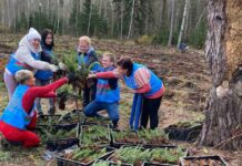 Актив Борисовщины присоединился к акции «Дай лесу новае жыццё»