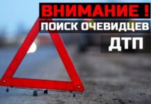 Борисовская ГАИ ищет свидетелей