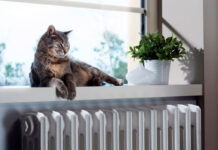 В Борисове с 4 октября в социальных объектах начинается отопительный период