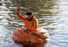 Шахбокс и тыквенная регата. Рассказываем про необычные виды спорта