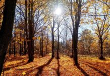 ФОТО ДНЯ: буйство красок