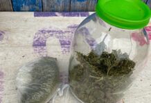 За оборот наркотиков задержан житель Борисовского района