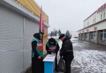 Сбор подписей, день 21-й: в Борисове прошел пикет возле универмага «Веста»