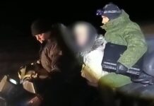 На Борисовщине нашли заблудившуюся женщину в лесу