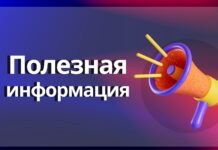Где посмотреть расписание городских автобусов и найти актуальные объявления о купле-продаже
