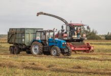 Почти 100 тысяч тонн кормовых единиц заготовлено на Борисовщине за 9 месяцев 2024 года