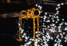 ФОТО ДНЯ: подарочек