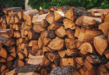 Какие документы нужны гражданам для заготовки дров?