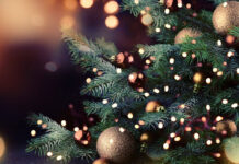 Как встречать новый год Зеленой Деревянной Змеи? Советы астролога