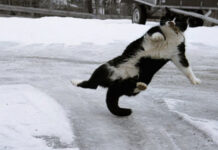 Осторожно, гололед! Простые правила, которые уберегут от травм