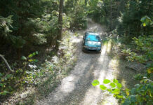 Как фотоловушки помогают бороться с нарушителями