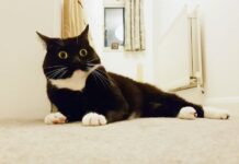 Вещи из СССР, которые сильно удивят молодежь