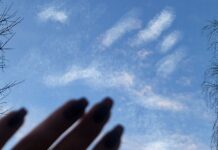 ФОТО ДНЯ: отпечаток