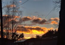 ФОТО ДНЯ: красивое утро