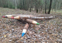 ФОТО ДНЯ: а точилка есть?