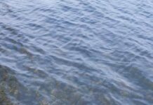 В Борисовском районе извлечена из реки утонувшая пенсионерка