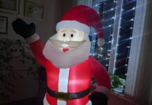 ФОТО ДНЯ: доброе утро