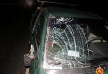 Судебные эксперты установили личность мужчины, погибшего в ДТП в Борисовском районе.