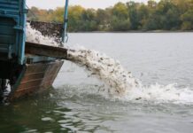 Как правильно зарыблять водоемы?