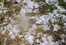 Школьник в Могилеве захотел повторить эксперимент из интернета и получил контузию глаза