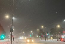 Зима глазами юнкора редакции. ФОТОРЕПОРТАЖ