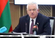 Беларусь не создает участки для голосования за рубежом