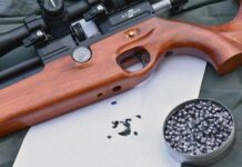 Пневматическое оружие. Законно ли владеть им для спортивно-развлекательной стрельбы
