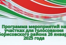 Программа мероприятий на участках для голосования Борисовского района 26 января 2025 года
